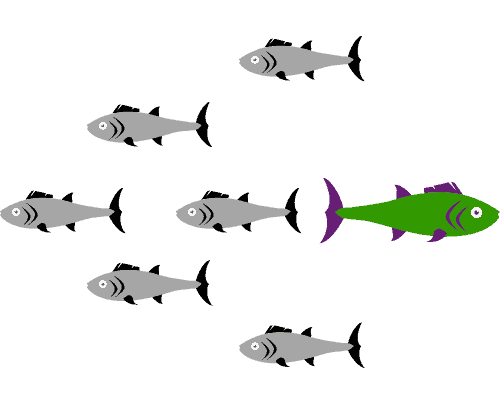 Green fish swimming against grey fish, symbolizing uniqueness and going beyond the norm.