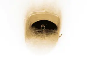 Close-up of toilet bowl with dark limescale buildup from prolonged mineral deposits.